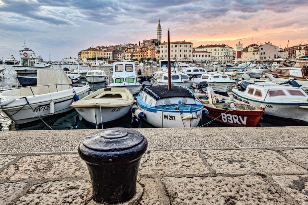 Rovinj City Studios المظهر الخارجي الصورة